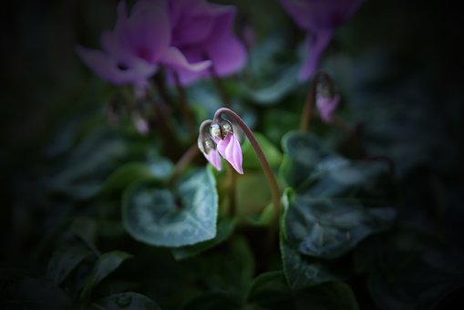 孩子讀初一了成績很差怎么辦