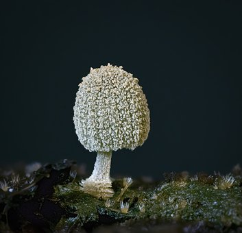 ���L�ں��ӌW(xu��)��(x��)�ɿ������е�؟(z��)��