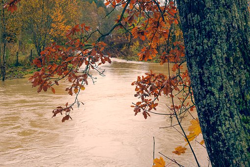 �߰˚q��Ů���� Ԓ��ô�k