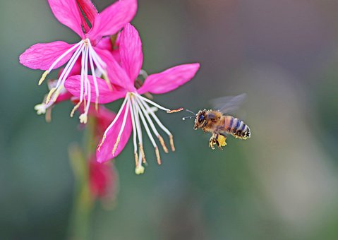 ���_�Ľ������������L(zh��ng)������_����(d��o)����ʹ���֙C(j��)