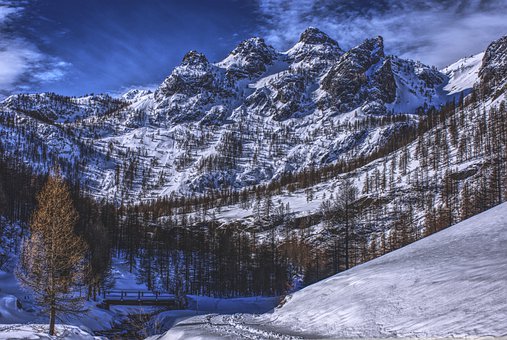 �������͎�����M������w�ĺ���