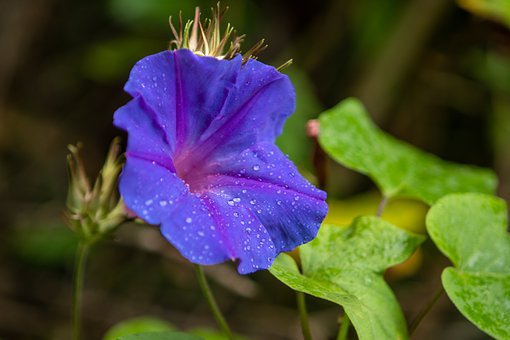 孩子高一厭學怎么辦