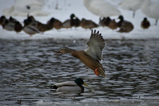 ��Ύ������Ӝp�ٌ��֙C����ه