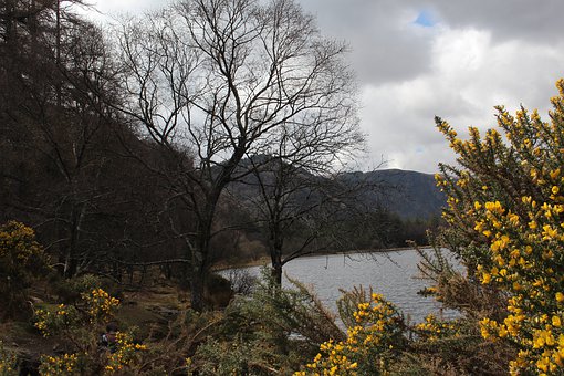 ������ٵ�Ů����ʲô���k���ܽ�Q