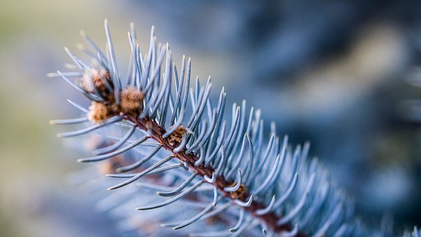 �������֙C�Ľ��h�ͽ�Q����