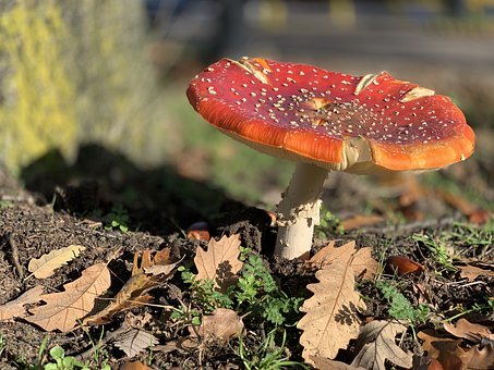 2015�����߿����ƌ����F�ش�׃��~~���ҽ��x2015��߿��f��׃��