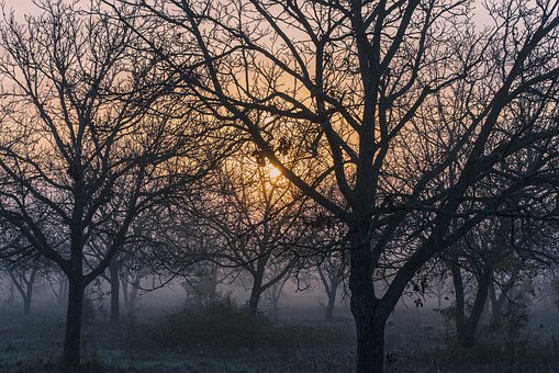 ���ӵ��������ڲ� Ԓ�����ô����