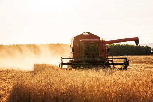 初中生要手機(jī)家長(zhǎng)該怎么辦