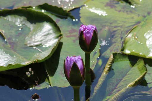 ���ӻؼҲ������I��ô�k