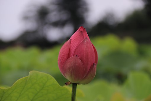 小孩子沒(méi)禮貌怎么教育