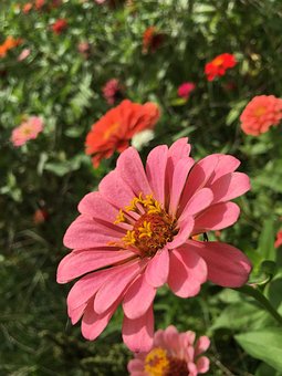 �������n���vԒՈ����ô����