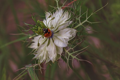 ��Ύ������ӿ˷����W(xu��)��w