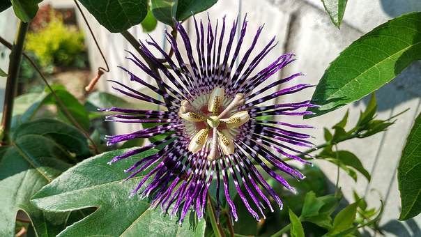 ���L���x�����и����H���P(gu��n)ϵ