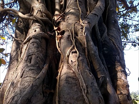 15歲女孩早戀家長該怎么辦