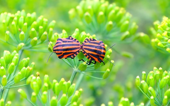 孩子愛撒謊不寫作業怎么辦