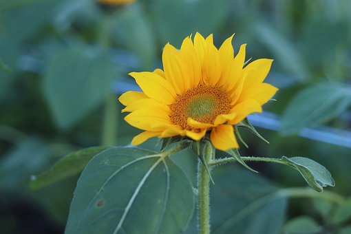 С�f��x�����ӵ�Ӱ푼����_����