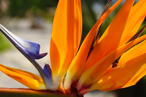 一個12歲孩子的粗心日記:那些被忽略的問號和大寫字母