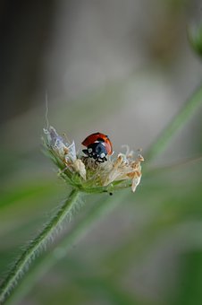 �����������ļ�������