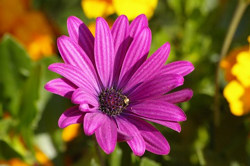 盤點(diǎn)英語四六級(jí)聽力不給力的四大原因