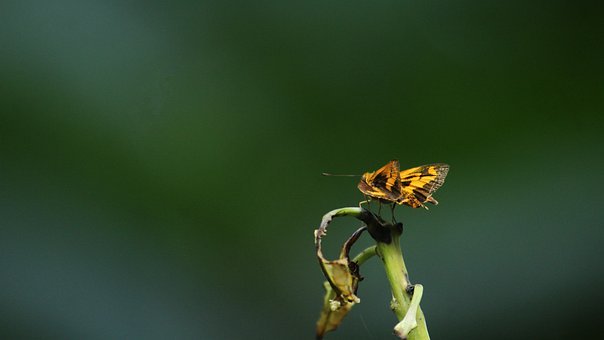 �۰lƢ��ĺ�����ô����