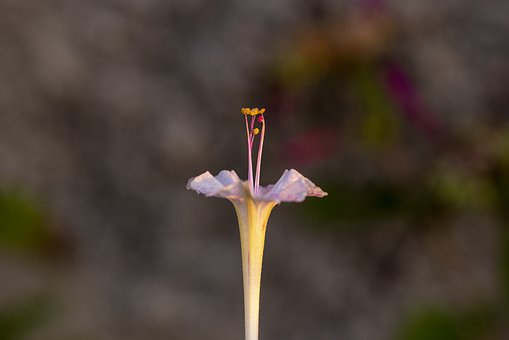 17�q�������к���������