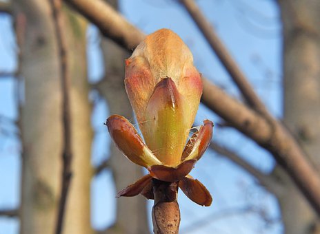孩子老想睡覺沒精神可能的原因及解決方法