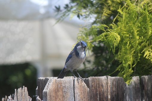 ���������ώ�������ô�k��ϣ���@Щ���h���h(yu��n)����(hu��)�����È�(ch��ng)