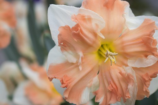 小學語文課堂,別讓“熱鬧”代替了學習