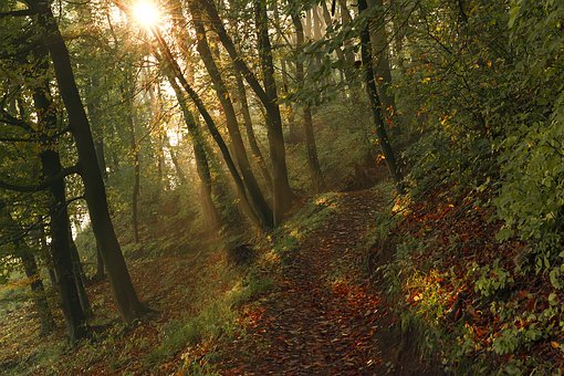 ʲô�ǳɹ��ļ�ͥ����