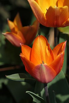 �����Α��Ӱ�����͌W��