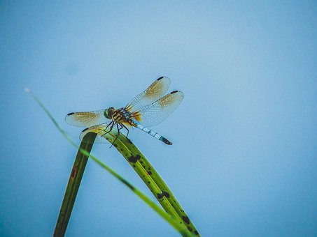 09���Ϸ��t�ƴ�W�l�������ȡ֪ͨ��