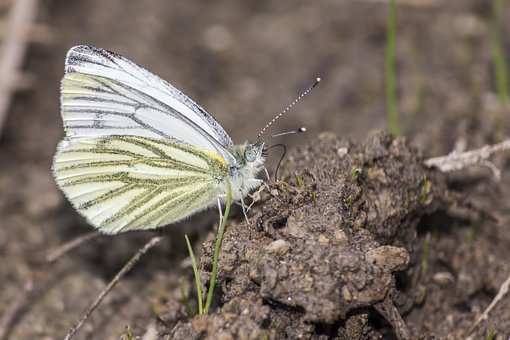 ����ĥ�䲻�����I��ô�k