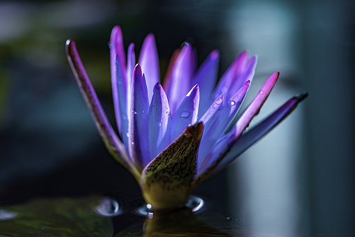 �Ҍ���ĸ����е���ŮҪ���Ӹ�׃