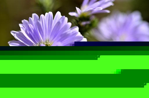 С���Ӟ�ʲôϲ�g�f�e