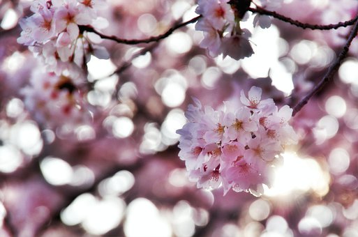 �������صĺ�����ô����