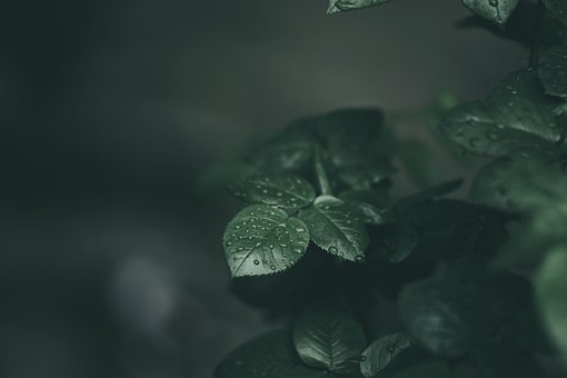 12�qŮ������������ô�ܽ�����m