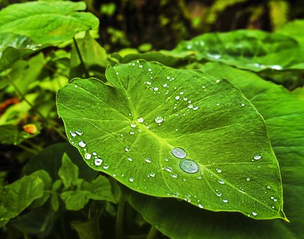 斯坦福大學教育學教授:富人家的孩子學習更好?