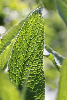 �������꼉�������I����ĥ����ô�k