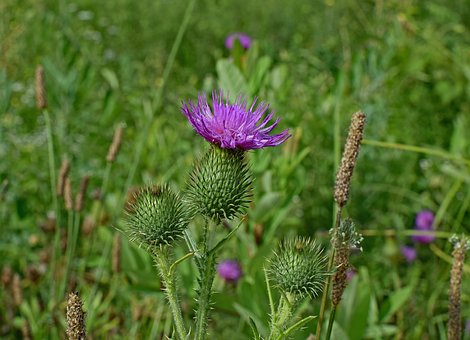 ��Ƣ�Ⱪ���Ը�󏊵�С����ô�k