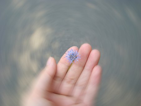 叛逆期男孩子的教育指南