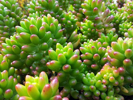 10λӢ�Z���ҽ���Ӣ�Z�W������