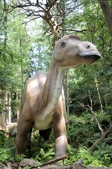 ���ӌ���ĸ�]�жYò��ԓ���ӹܽ�