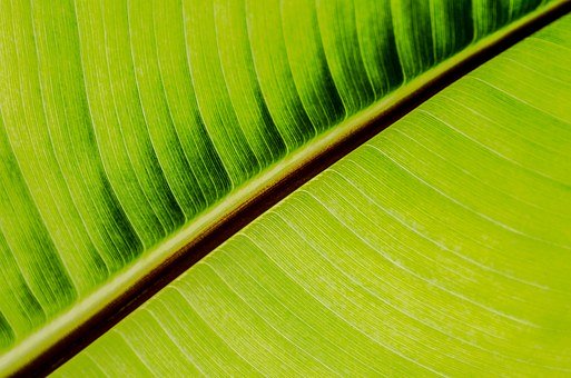 孩子太調皮怎樣教育才好