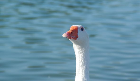 高二孩子貪玩不愛學怎么辦