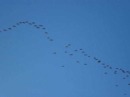 ��������Ҫ�֙C���o�����[��ô�k