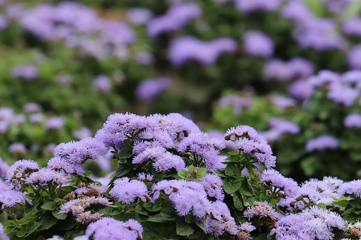 һ�꼉�Z�ĹP�����T����ֻ�ǿ�ԇ���c�����ǝh��֮���ĵ�һ�n