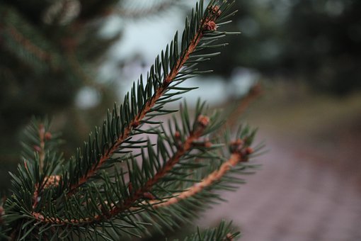 �����x�ս������Ӳ����όW��ô�k