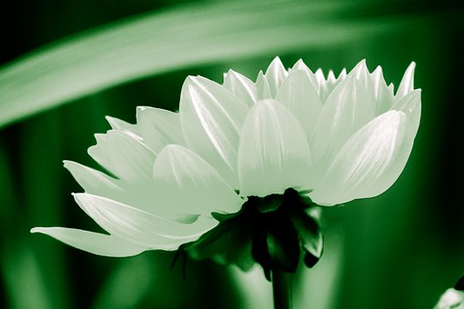 焦慮癥的媽媽怎么樣與孩子相處