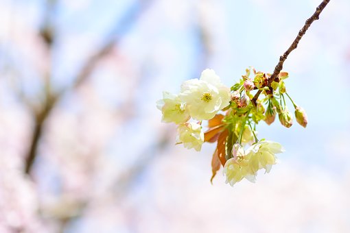 ׌���ӵČW�����p�ɣ�ӛ����Ӗ����ˇ�g