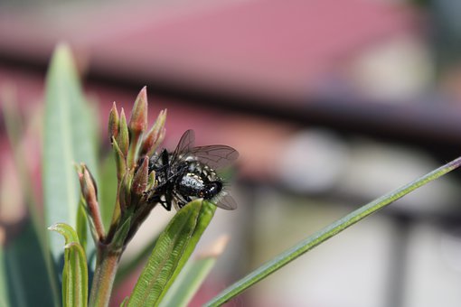 ���ҽ��x08����ظ߿�����:�w�F(xi��n)������}څ��